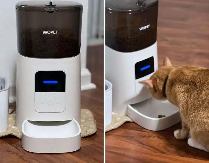 Never Worry About Missing A Feeding Again With The <a Style="Display:inline;" Href="Https://Www.amazon.com/Wopet-Automatic-Dispenser-Distribution-Recorder/Dp/B089gg57ql?ie=utf8&th=1&linkcode=ll1&tag=bphorse-20&linkid=4ad6b9ac5d384e4698b5bc891ef1472b&language=en_us&ref_=as_li_ss_tl" Target="_blank"><span Style="Font: Inherit; Color: #d74b1f;"> Automatic Cat Feeder</Span>, A Convenient And Reliable Solution For Busy Pet Owners