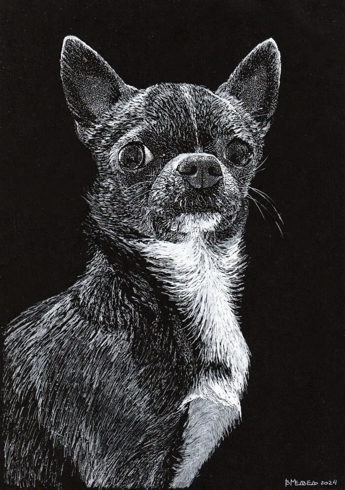 Years Ago, My Daughter Got Me A Sketchbook And I’ve Been Drawing White On Black Ever Since (23 New Pics)