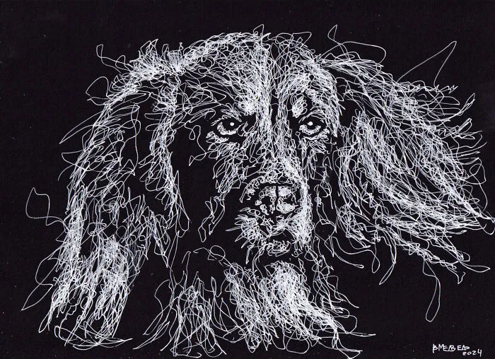 Years Ago, My Daughter Got Me A Sketchbook And I’ve Been Drawing White On Black Ever Since (23 New Pics)