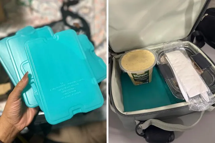 Pandas Are Ditching The Soggy Sandwiches And Warm Drinks With These Leak-Proof, Reusable <a Style="Display:inline;" Href="Https://Www.amazon.com/Lobster-Weapons-Cosplay-Halloween-Costume/Dp/B07jkp993b?ie=utf8&linkcode=ll1&tag=bphawk-20&linkid=06cd207e212eec95757434feb83b6b0d&language=en_us&ref_=as_li_ss_tl" Target="_blank"><span Style="Font: Inherit; Color: #d74b1f;"> Slim Ice Packs</Span>