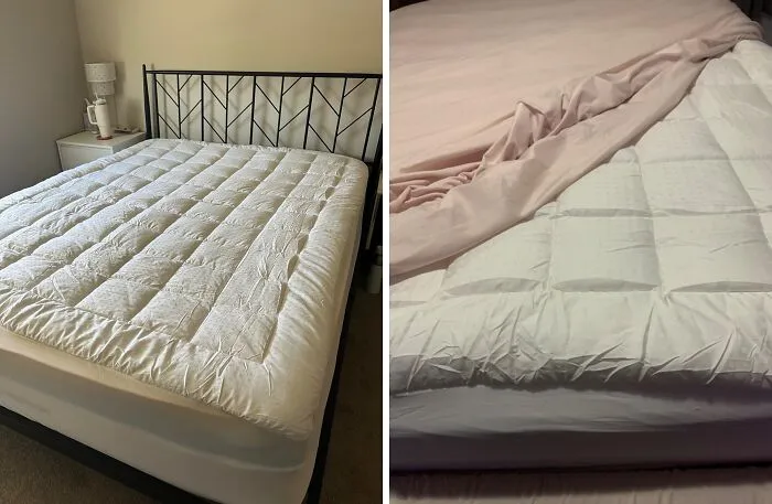 Pandas Also Chose To Upgrade Their Sleep Game With This <a Style="Display:inline;" Href="Https://Www.amazon.com/Gp/Product/B073zy6xh3?th=1&linkcode=ll1&tag=bppeacock-20&linkid=f032a911c4c41087caf90d3d9f5db049&language=en_us&ref_=as_li_ss_tl" Target="_blank"><span Style="Font: Inherit; Color: #d74b1f;"> Queen Size Mattress Pad</Span> – The Cloud-Like Comfort Is A Prime Day Dream Come True