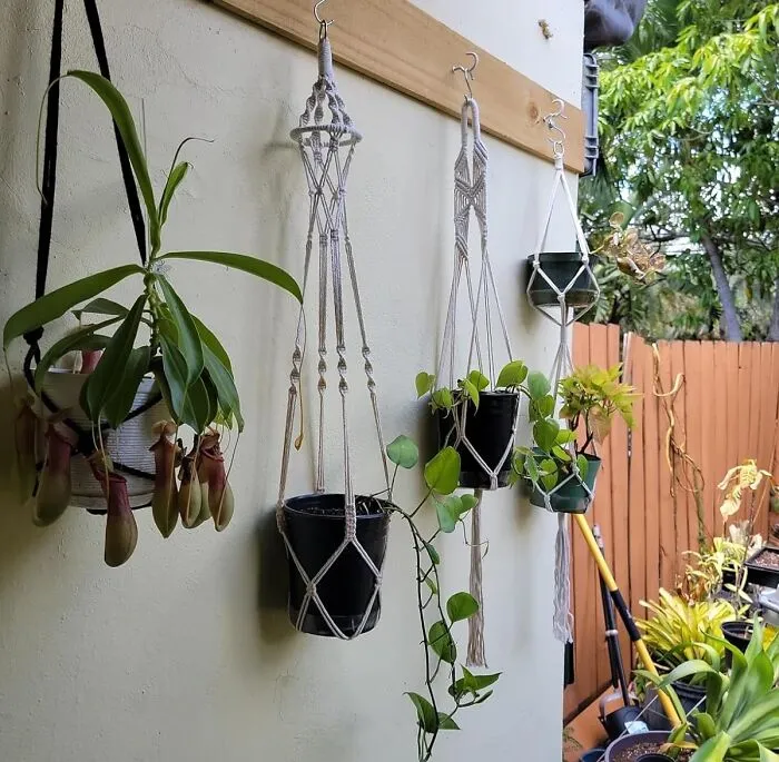 These <a Style="Display:inline;" Href=" Https://Www.amazon.com/Sfenngpet-Macrame-Planters-Handmade-Macromay/Dp/B0cyslddly?ie=utf8&th=1&linkcode=ll1&tag=bpcrab-20&linkid=45a0c3e1933d582331cdddabf62e03ac&language=en_us&ref_=as_li_ss_tl " Target="_blank"><span Style="Font: Inherit; Color: #d74b1f;"> Macrame Plant Hangers</Span> Are So Chic, They'll Make Even Your Most Basic Houseplants Look Like They Belong In A Magazine