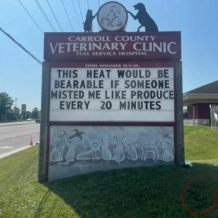 No Fleas, Just Jokes: 40 Signs That Had Tails Wagging (New Pics)