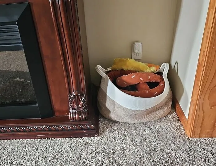 "I have a trash can and <a style="display:inline;" href="https://www.amazon.com/Goodpick-Laundry-Blanket-Storage-Rectangle/dp/B0CF1RCS6Z?crid=1QAQMFGXKKWT3&dib=eyJ2IjoiMSJ9.VKCVWszmUn1EJ_d1uylTYMKiJXlVJ4Z2lu1lrmHp3bP7uDgB_oe4Q43umhhwa-sGE76FzfmY_gALTYvd0-m4bIpL8vWLRLQqy3a0tPMmE-IJnOnomn3Z276sYarxDMx7GhRfrK-62pxEdQLqziqPu7wnDTSw_8Y21u6iIC4eEJBLCczzAjaynuPxaYAbrtdDFri2KcOSewR_kjy__nqpruyRaBpnYaRkTXQ7xLHPqphIoszgVOcjJoym0-8iTOiv8uVJw6946Wg-_MhVDbVEsx-fxonza7EWNKmq5BXOWj4.uXQrmcslUfXbjJA0d4k-bmIw71Ql6Cuf6_slv3uULxU&dib_tag=se&keywords=basket&qid=1721724086&sprefix=basket%2Caps%2C270&sr=8-9&th=1&linkCode=ll1&tag=bpsheep-20&linkId=5adae5d52abeff0026583bb0a9f0e2d2&language=en_US&ref_=as_li_ss_tl" target="_blank"><span Style="Font:inherit;color:#d74b1f;"> laundry basket</Span> in every room. The trash can is obvious. The laundry basket is where "things that don't belong in this room" live. I empty the baskets and put stuff up a few times a week" - <span Style="Font:inherit;color:#808080"> thatsnotgneiss </Span>