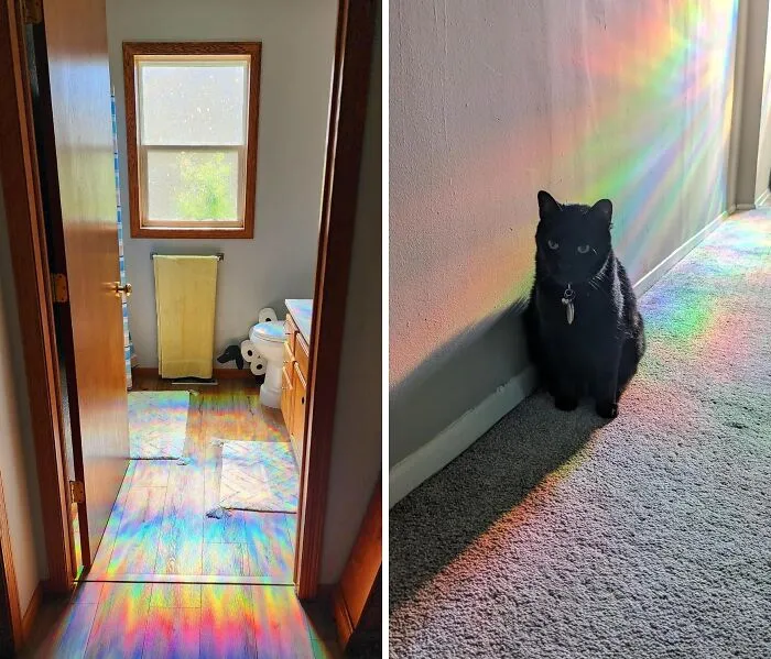 Use <a Style="Display:inline;" Href="Https://Www.amazon.com/Rabbitgoo-Decorative-Privacy-Non-Adhesive-Control/Dp/B0cjr2ljdq?ascsubtag=60a416b1e4b014bd0cb1f127%2c-1%2c-1%2cd%2c0%2c0%2chp-Fil-Am%3d0%2c1272%3a1%3b1332%3a1%2c0%2c0%2c0&btn_ref=srctok-Bae9c65898796609&th=1&linkcode=ll1&tag=bptapir-20&linkid=8c7540b5251f1bb3c50f7521076c4c36&language=en_us&ref_=as_li_ss_tl" Target="_blank"><span Style="Font:inherit;color:#d74b1f;"> Window Film</Span> To Hide An Unsightly View