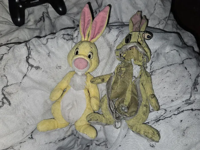 My Mother Bought Me Another Copy Of The Toy I've Had Since I Was A Child