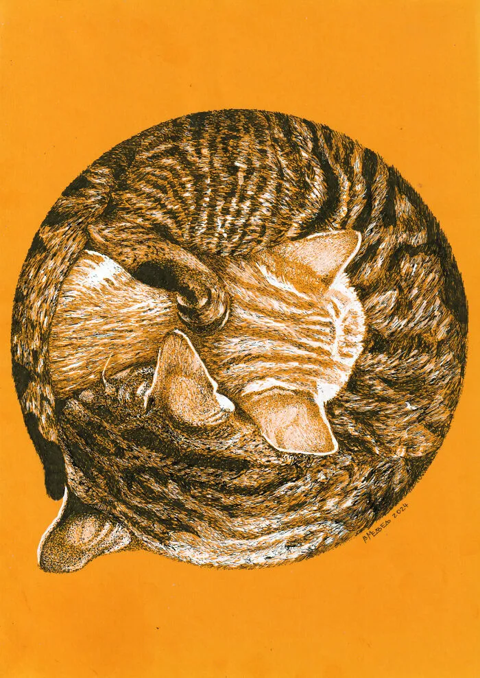 I Made White And Black Dot Drawings On Orange Paper (13 Pics)