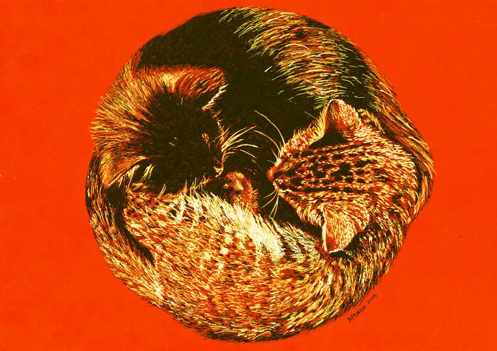 My 13 Dot Drawings On Orange Paper