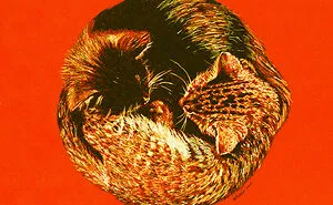 I Made White And Black Dot Drawings On Orange Paper (13 Pics)