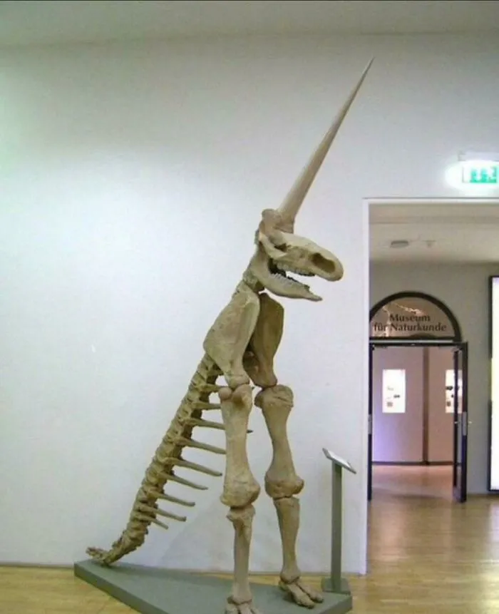 Nuevo dinosaurio descubierto