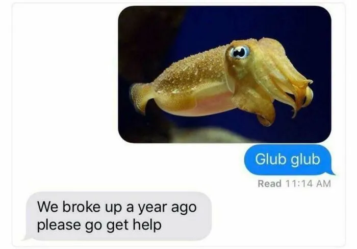 “Think You Have The Wrong Number, But You’re Right”: 50 Texts That Might Make You Laugh