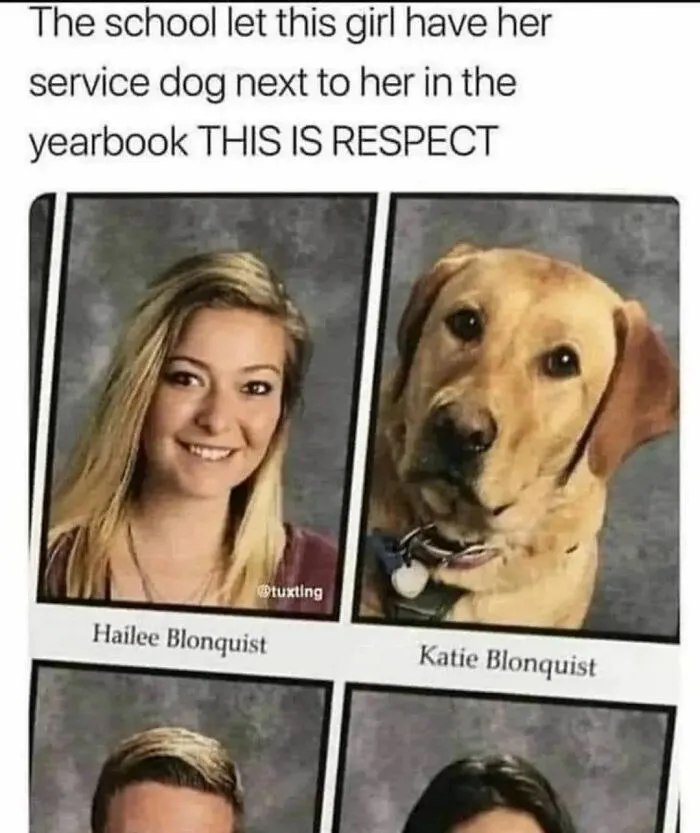 50 Dog Memes To Make Your Day Much Brighter