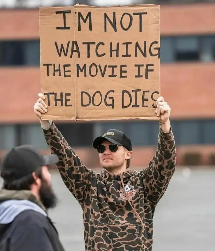 50 Dog Memes To Make Your Day Much Brighter