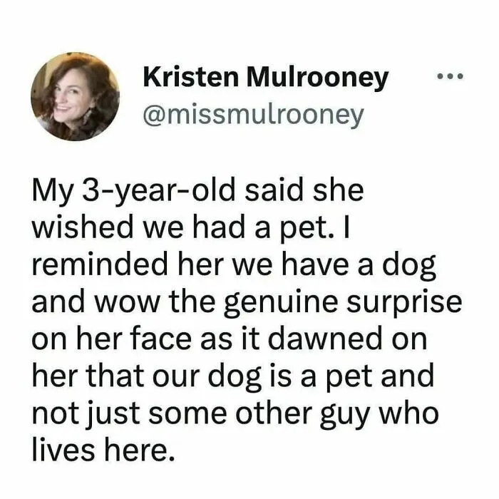 50 Dog Memes To Make Your Day Much Brighter