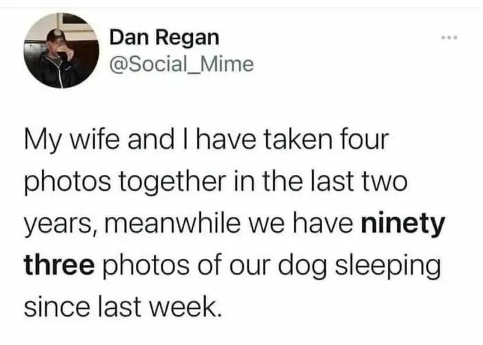 50 Dog Memes To Make Your Day Much Brighter