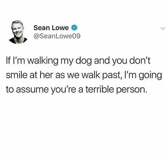 50 Dog Memes To Make Your Day Much Brighter