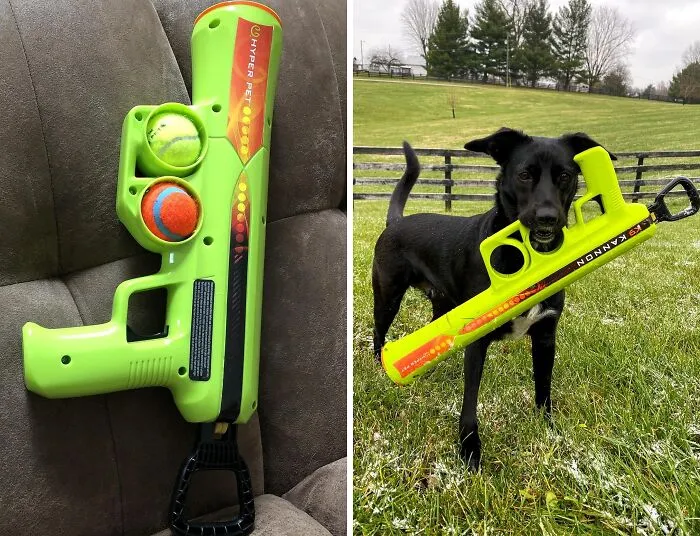 The <a Style="Display:inline;" Href=" Https://Www.amazon.com/Hyper-Pet-Kannon-Ball-Launcher/Dp/B0762pqqhx?ie=utf8&th=1&linkcode=ll1&tag=bppanther-20&linkid=eafde6bd69a9cf57817fb456949e78a2&language=en_us&ref_=as_li_ss_tl" Target="_blank"><span Style="Font: Inherit; Color: #d74b1f;"> Kannon Dog Ball Thrower Launcher</Span> Is The Fetch-Tastic Upgrade Your Dog's Playtime (And Your Throwing Arm) Have Been Waiting For!