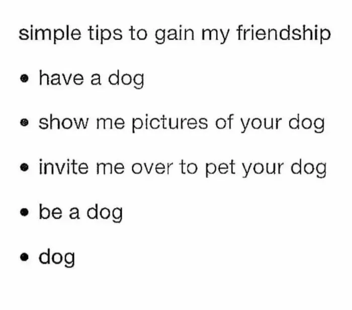 50 Dog Memes To Make Your Day Much Brighter