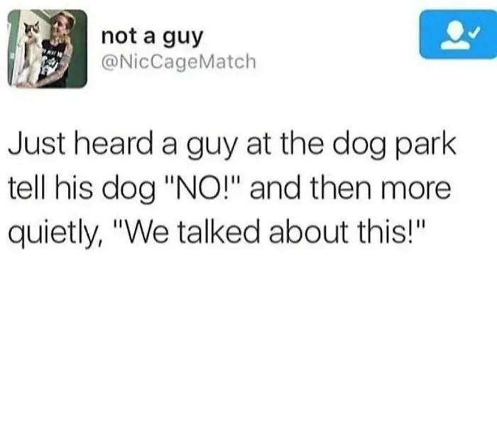 50 Dog Memes To Make Your Day Much Brighter