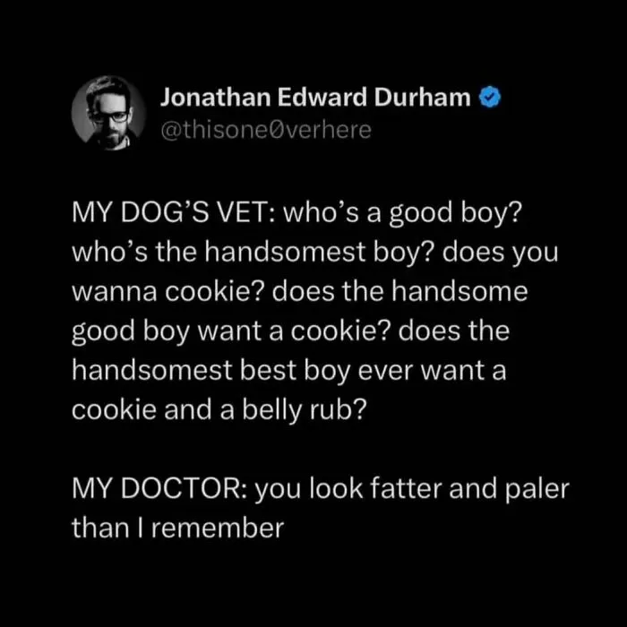 50 Dog Memes To Make Your Day Much Brighter
