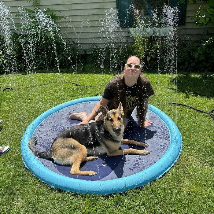 Beat The Summer Heat And Let Your Pup Unleash Their Inner Water Baby With This Easy-To-Set-Up <a Style="Display:inline;" Href=" Https://Www.amazon.com/Peteast-Splash-Anti-Slip-Pool-Large/Dp/B0859f28w1?ie=utf8&th=1&linkcode=ll1&tag=bppanther-20&linkid=0f2fa6a11f6f6f2cd84314f217490942&language=en_us&ref_=as_li_ss_tl" Target="_blank"><span Style="Font: Inherit; Color: #d74b1f;"> Dog Splash Pad</Span>