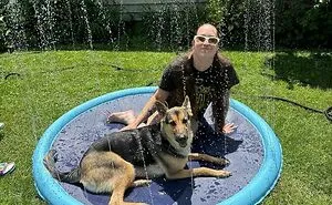 Treat Your Furry Overlord: 20 Summer Essentials They'll Thank You For (Probably With Licks)