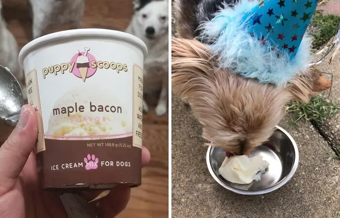 <a Style="Display:inline;" Href=" Https://Www.amazon.com/Puppy-Scoops-Ice-Cream-Dogs/Dp/B00syu7jdy?ie=utf8&linkcode=ll1&tag=bppanther-20&linkid=5ee6aec0b51e25d7980c0aba9f6589f1&language=en_us&ref_=as_li_ss_tl" Target="_blank"><span Style="Font: Inherit; Color: #d74b1f;"> Ice Cream Mix For Dogs</Span> Is The Tail-Wagging Treat Your Furry Friend Deserves On A Hot Summer Day