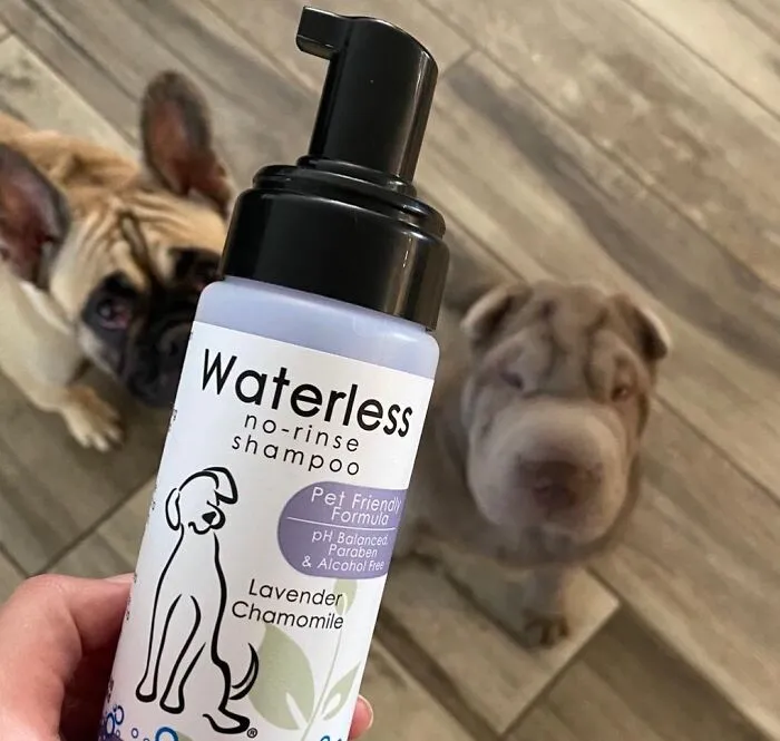 Your Pet Will Love The Gentle, Plant-Based Formula Of This <a Style="Display:inline;" Href=" Https://Www.amazon.com/Friendly-No-Rinse-Waterless-Shampoo-Lavender/Dp/B00gzqyk4k?crid=xpaz0arc4e4d&dib=eyj2ijoimsj9.7gtvw_x1x3b7jyplkknuqkz_94duit-Skhuagclkoat4jehfpm9a1cpkyxnuid7ermrzls1fumxneiuyl_id5y49sqdh8j2gtx_t6lnyyqdqo1gernclhiktwkhszrrrubbxr6kvhw4fwflxcw42qs8abfj7r6dsbqptpyrvsyqbw-Jobmrmvbr2zxw6w1kj7sq1lxo3ysvi6fyobrdmk5dxnw4tegbwidqydyc7t8izpk5hajfzuaezix0_h-Gq6ms9qhrprnsj-Rkw6gszablajfaf-Vruetls2gd4chu.lcbg7aqpfelmz_slsqdrsjazk8ynsnq8zyex_enciy8&dib_tag=se&keywords=dirty+dawg+no+rinse+dog+shampoo+spray&qid=1722333923&sprefix=thermal+dog+cool+coat%2caps%2c350&sr=8-4-Spons&sp_csd=d2lkz2v0tmftzt1zcf9hdgy&psc=1&linkcode=ll1&tag=bppanther-20&linkid=457ffac6c72f84de11d3a1587fa0519a&language=en_us&ref_=as_li_ss_tl" Target="_blank"><span Style="Font: Inherit; Color: #d74b1f;"> No Rinse Shampoo</Span>, Leaving Their Coat Soft, Shiny, And Smelling Great