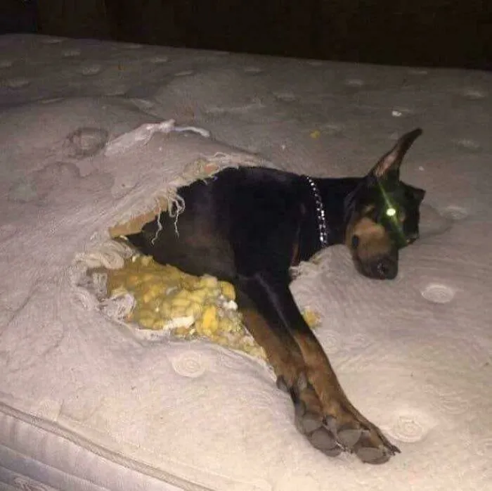 When You Spend The Night At A Friend's House And They Don't Give You A Blanket
