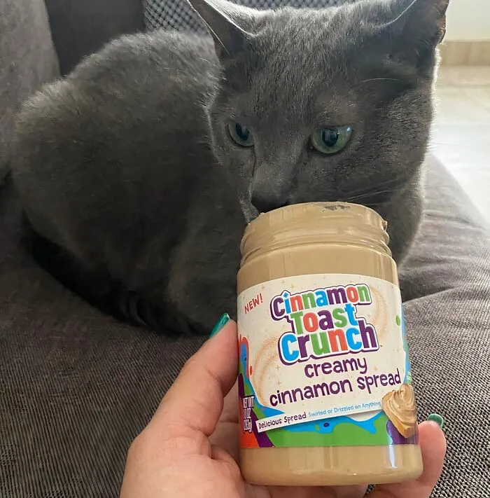 This <a Style="Display:inline;" Href=" Https://Www.amazon.com/Cinnamon-Toast-Crunch-Creamy-Spread/Dp/B09w5zvdd2?crid=na74kdvqg0jk&dib=eyj2ijoimsj9.k6ayb8mzfe-Ktjmc2o38a8v2q6biogoqeya1hktvjpmchcb3dyjm9dypny2iurzvimlabfw0zpco2rscodhfkvbpcizorfuxmkqcdgnwp0uzud8oup3qnhftoz2xi1m9w5jasta8av1cxkhszipmbyfpjofnnzdag_orad-Ihqiznsli4xcs1okzfl8pwyatnkwztitr_5adfovetsmtp2u8vqyoivurenjrcjryui-Dneewp2ybjfqy8rvohlcqkydurxmikz8snfpvxxmqp2rizrpy2ci8c4lqni0f60w.zfz3jjynga9bj37gofe_8rqiwr9zeztk6d-Vzmoieym&dib_tag=se&keywords=interesting+finds&qid=1722409289&sbo=m6djfpmzmldml8psmkx8hw%3d%3d&sprefix=interesting%2caps%2c195&sr=8-18&linkcode=ll1&tag=bpkoala-20&linkid=b0b6bcb0b9961eb18939ea6cf7f04eb6&language=en_us&ref_=as_li_ss_tl" Target="_blank"><span Style="Font: Inherit; Color: #d74b1f;"> Cinnamon Toast Crunch Creamy Cinnamon Spread</Span> Is The Breakfast-For-Dessert Dream Come True, Letting You Slather That Iconic Cereal Flavor On Anything Your Heart Desires