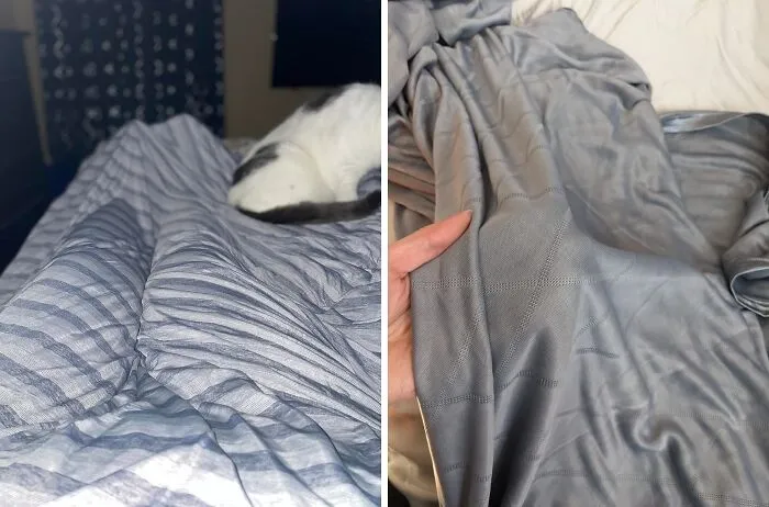 This <a Style="Display:inline;" Href="Https://Www.amazon.com/Lightweight-Breathable-Blankets-Transfer-Sleepers/Dp/B09pj9vykx?crid=3p1tv6iihsmkz&dib=eyj2ijoimsj9.ycx9rnezvnbkcefscy-Gt33ta5c6cteswmbxy5jicnkauwlxh1n57deme1igffqcrlkjrkza15c49a9rxo-Cw8ifbf_szxzlbdylulrddd7icd0yilbedozeb7bflihxiruovhg-Hfirbfcaj3syuf_xrjgxjm8rpix_ghjvnhokd5ryynj4uw00zetg_gwgf6yv7hxfyhyaa2mkywr87tesqw668wngdq54-Ftfasnhx21ja1uqg25ukhg2ioc145cjokyzfdjxnkijrgcjwdpqwyocraqtgpmsx21wqxm.khghzkizzxmyxsu0xdsmay1um-4tm2q1yfplc4sruqi&dib_tag=se&keywords=cooling%2bblanket&qid=1721807797&sprefix=cooling%2bblank%2caps%2c331&sr=8-1-Spons&sp_csd=d2lkz2v0tmftzt1zcf9hdgy&th=1&linkcode=ll1&tag=bptapir-20&linkid=7822c623951230009b4e73e08db417b7&language=en_us&ref_=as_li_ss_tl" Target="_blank"><span Style="Font: Inherit; Color: #d74b1f;"> Cooling Throw Blanket</Span> Is The Ice-Cold Cuddle Buddy Your Overheated Body Has Been Dreaming Of