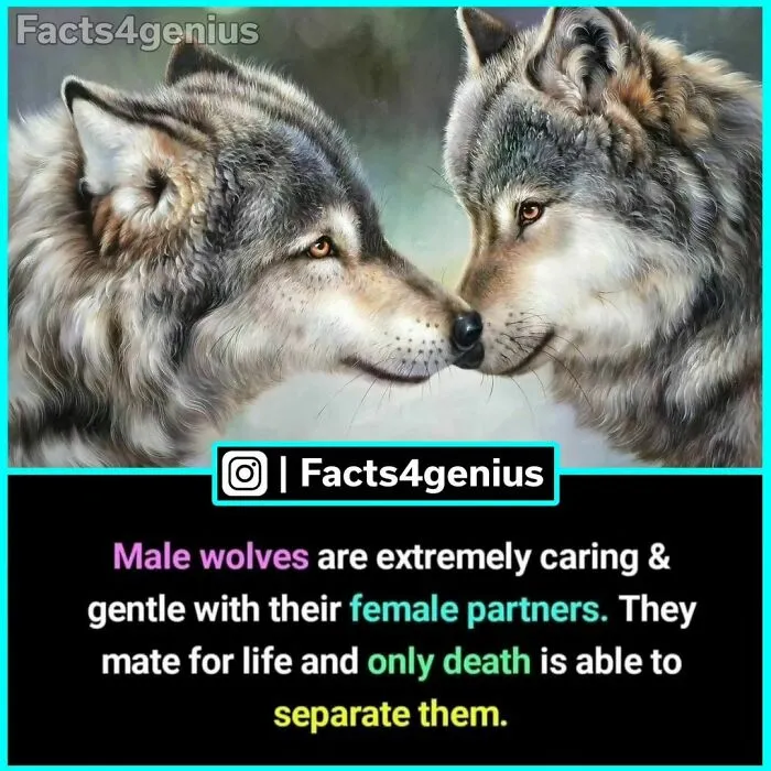 50 Posts From “Facts For Genius” That Might Teach You Something New (New Pics)