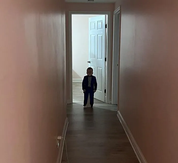 We Never Knew We Needed A <a Style="Display:inline;" Href="Https://Www.amazon.com/Hasbulla-Magomedov-Lifesize-Cardboard-Cutout/Dp/B09m2l25wb?pd_rd_w=ckpjj&content-ID=amzn1.sym.53e0c629-1936-47cb-93a2-C361b12e7d3c&pf_rd_p=53e0c629-1936-47cb-93a2-C361b12e7d3c&pf_rd_r=0b3b4ax5s6jej0cm3qpv&pd_rd_wg=jxfsw&pd_rd_r=d56dff1a-A9d8-4f18-9c53-Ec03c259ae4a&pd_rd_i=b09m2l25wb&th=1&linkcode=ll1&tag=bporangutan-20&linkid=44da98a13c18dd11930655c0d6933122&language=en_us&ref_=as_li_ss_tl" Target="_blank"><span Style="Font:inherit;color:#d74b1f;"> Hasbulla Cutout</Span> Until Just Now