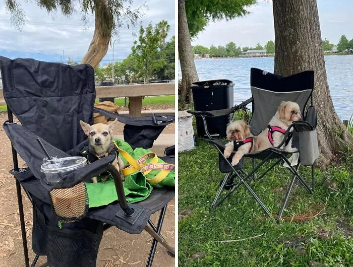  A DIY Sit-Upon From Grocery Bags Is A Glassic Girl Scout Trick. But For Extra Comfort, Invest In A Durable <a Style="Display:inline;" Href="Https://Www.amazon.com/Coleman-Portable-Camping-Chair-Cooler/Dp/B00339c3p0?crid=1vjub07olq8mw&dib=eyj2ijoimsj9.fnrstexurn7okfm7aejxi98-Bhtcgm0bqfjvm782-L23w-Cobgb2icdwsmqu70o_que-Pod2wn5li93tsr9qq6je9yq1sbdk6hb2ohuc46sjq-Ivx6vmh2qa1mvau9a9gf5o0cqgvmd2t64masebztjox1hsuxyx79kti4qj7t5z0ifmfqc85d-Lgh5ob70o8bi3r2nubf2d_wuop_b5ng_8qpxuv0aywjydrivbtwm_iln74g1gc9hj_u-Pfkrgvk-Idj4acd6m-V6izwuhx6fyehrz1vv2cir5z41a-7q._m4arnru8fc7szopafgab9bzj6vzymeycetv3noobjc&dib_tag=se&keywords=camping%2bchair&qid=1721897986&sprefix=camping%2bchair%2caps%2c214&sr=8-5&th=1&linkcode=ll1&tag=bprooster-20&linkid=0a0a4b5f39ae83906d3197d6bb8c110d&language=en_us&ref_=as_li_ss_tl" Target="_blank"><span Style="Font:inherit;color:#d74b1f;"> Camping Chair</Span> 