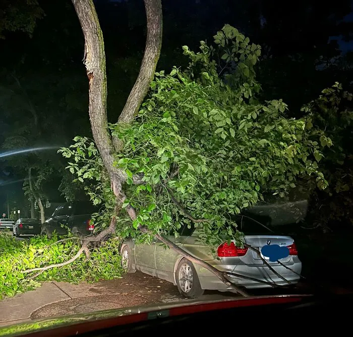My Neighbor Is Going To Have A Harsh Morning Getting To Work
