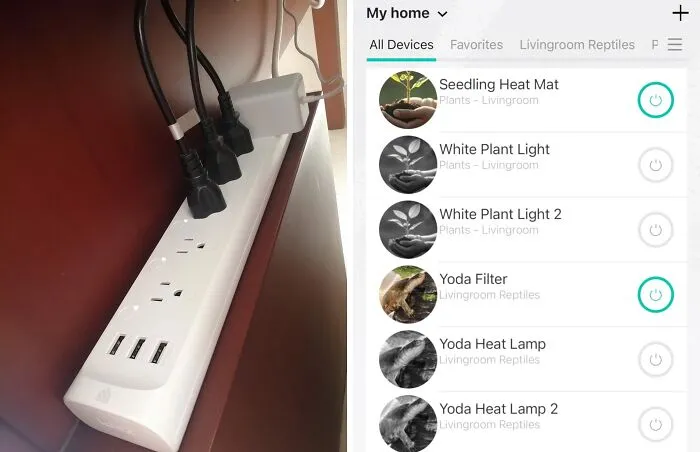 Smart Power Strips Can Help Save Electricity