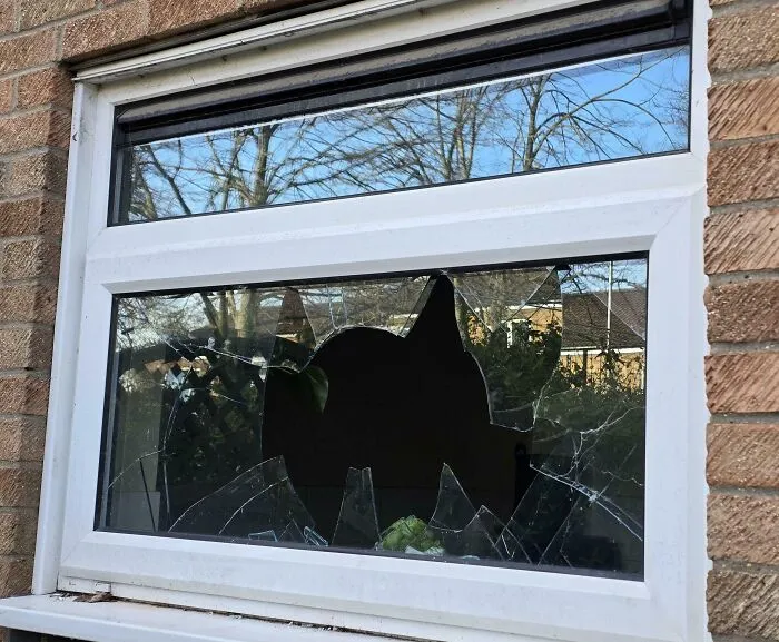 Algunas mujeres aparentemente no aceptan muy bien el rechazo