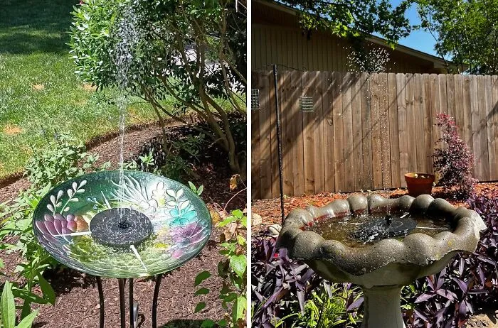 This <a Style="Display:inline;" Href="Https://Www.amazon.com/Mademax-Fountain-Upgrade-Standing-Floating/Dp/B085c5lqn3?crid=2zefg6y4xim6l&dib=eyj2ijoimsj9.bsufyfej2mxsq3dhlpeh6eebsfjerym89h0us-Lgzs0r12gudpycwnh9novabuglrywp8yn_f86yqfvk9i65ohqcjujbwg9jsvlsa_kp6-6ubzllclsrpmnk1pv0i7ox6jdw6ocimdnxybpnfgg09_--Hpyvhrmpnlyygxcllradarjgdpm_nyggbjcblhyfgp78nzmndv7myhru0rwloppitzpn2idsjui1tad5rjsud1lrtwmb-Vexrj4q6wvr89adovebd612dy6dh8dystfezrn6twwt43apv_cxbvc.xp3fwmzo3s9t6pai2akxaerp09batgnbalxqtq9sm-O&dib_tag=se&keywords=solar+powered+fountain&qid=1721915252&sprefix=solar+powered+fountain%2caps%2c591&sr=8-5&linkcode=ll1&tag=bprat-20&linkid=ed382efda1f5bb7f61d7250e3a722fab&language=en_us&ref_=as_li_ss_tl"_blank"><span Style="Font: Inherit; Color: #d74b1f;"> Solar Bird Bath Fountain Pump</Span> Will Turn Your Backyard Into A Five-Star Avian Resort, Complete With A Sparkling Water Feature