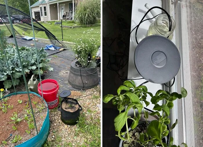 This <a Style="Display:inline;" Href="Https://Www.amazon.com/Ciryasr-Irrigation-Automatic-Watering-Balconies/Dp/B0ct827dq8?crid=19rcc18u0a4us&dib=eyj2ijoimsj9.kuqhyusclur6c3dqpa99w8zpncbq9147iji5floraw56oukxmm1duag_ll0cmdk-Tysmvb9coc9qj-1sqbto5zbwhwwuhujaj3betpi9o44fsrf7wsom8ntedi6gk-Mtuyb58tojod4redmr4b18bd8_z-Rha6bbo0akfc3h7p09yhxj8heizcm_4fsk-Yszitns7vqvdkktorfkr6ktmyrmyw4b9ocb0xotma7tcp2crk4u71vjegy5jypze-Elkm0cuar09dhtgc1kmmlo151tnij4mxtkk1fihjqtxs8.2wus_hbiki-Cvqzjekgcyx27xh2a_e-Bm3pgtyzzvlw&dib_tag=se&keywords=solar&qid=1721991520&sprefix=sola%2caps%2c205&sr=8-8&th=1&linkcode=ll1&tag=bprat-20&linkid=9a6c5354417cafbccbc5f206a375fa27&language=en_us&ref_=as_li_ss_tl"_blank"><span Style="Font: Inherit; Color: #d74b1f;"> Solar Drip Irrigation System</Span> Is The Plant Parent's Dream Come True, Keeping Your Green Babies Hydrated Even When You're Out Living Your Best Life