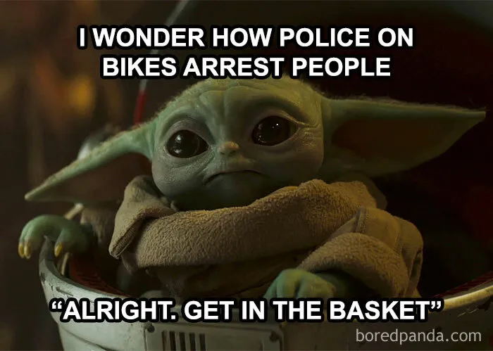 50 Funny Memes That You Might Find Painfully Relatable