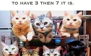 50 Hilarious And Adorable Cat Memes That Prove Why The Internet Loves Them So Much (New Pics)