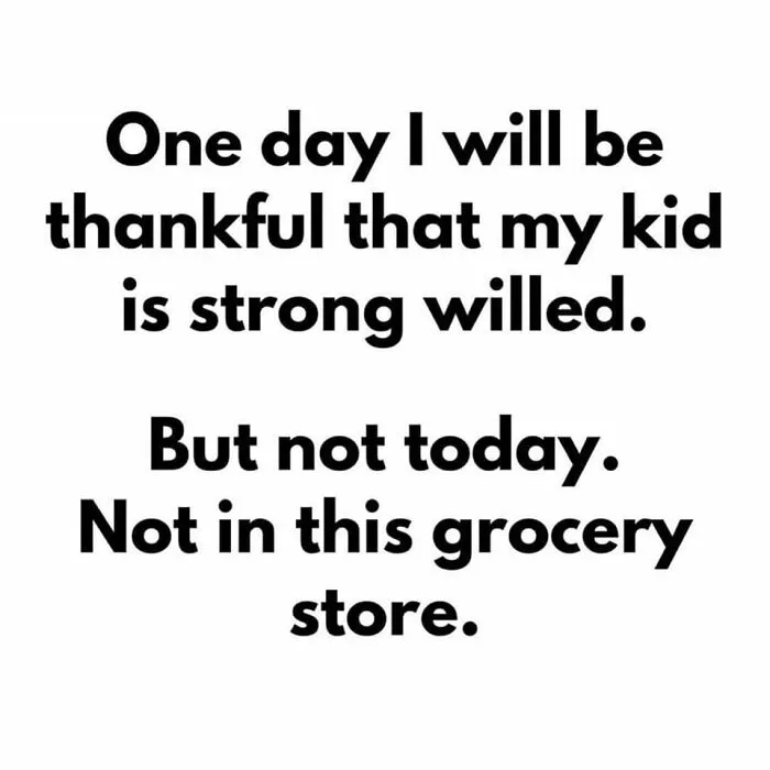 Toddlers Have No Chill: Memes Parents Will Know All Too Well