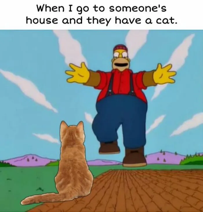 30 Best Moments From Simpsons That Became Meme Gold