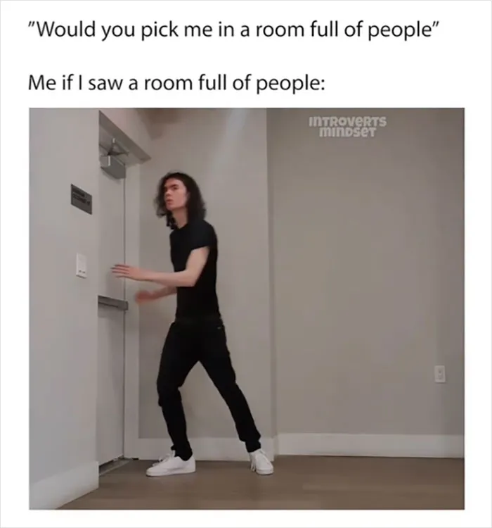 35 Funny Memes Made By An Introvert For Introverts