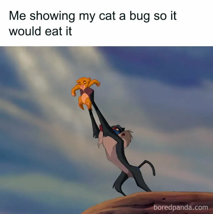 50 Hilarious And Adorable Cat Memes That Prove Why The Internet Loves Them So Much (New Pics)