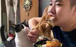 50 Hilarious And Adorable Cat Memes That Prove Why The Internet Loves Them So Much (New Pics)