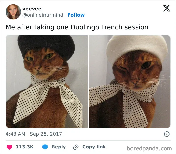 After One Duolingo French Session
