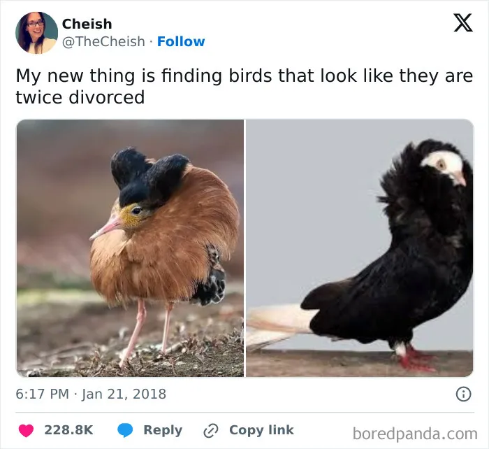 The Tweet That Started It All