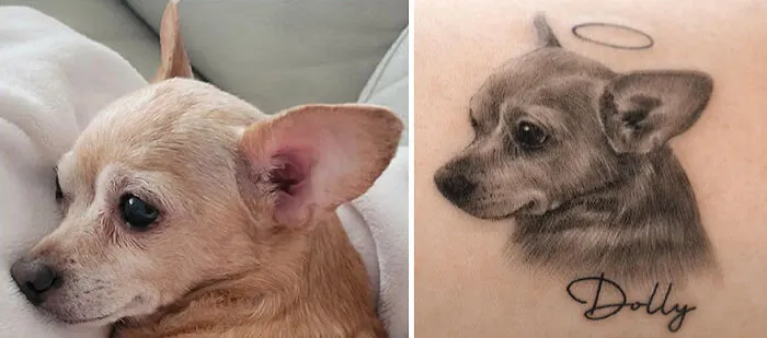 31 Tattoos That Owners Will Cherish Forever As They Feature Realistic Portraits Of Their Pets