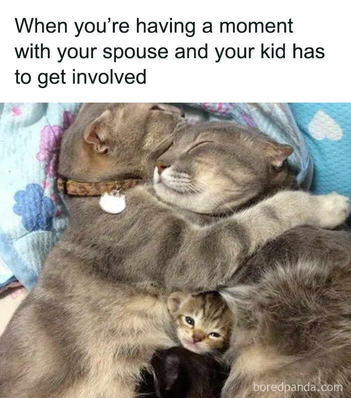30 Parenting Memes That Perfectly Capture What It’s Like To Raise Humans